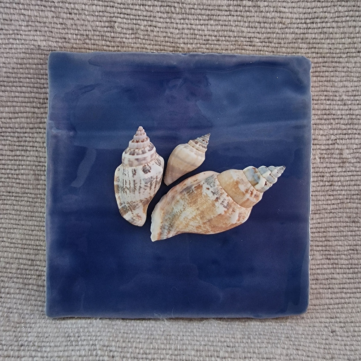 Tegeltje - 3D - Schelpen - Blauw
