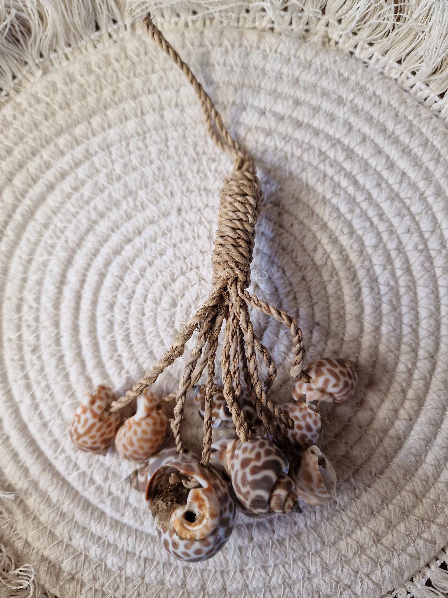 Schelpenbundel