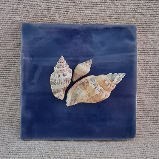 Tegeltje - 3D - Schelpen - Blauw