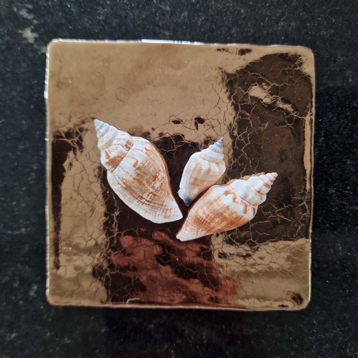 Tegeltje - 3D - Schelpen - Brons