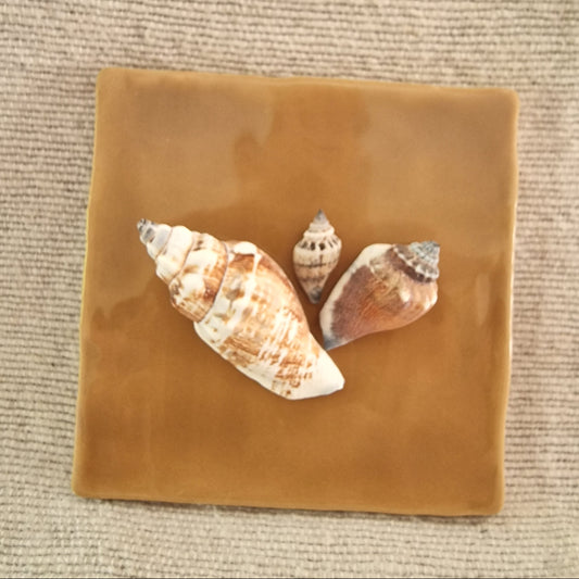 Tegeltje - 3D - Schelpen - Oker