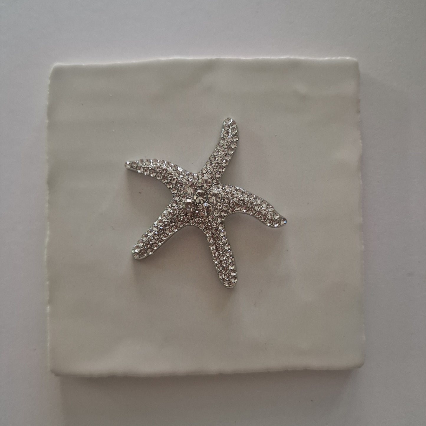 Tegeltje - 3D - Zeester Zilver - Tegeltje naar keuze