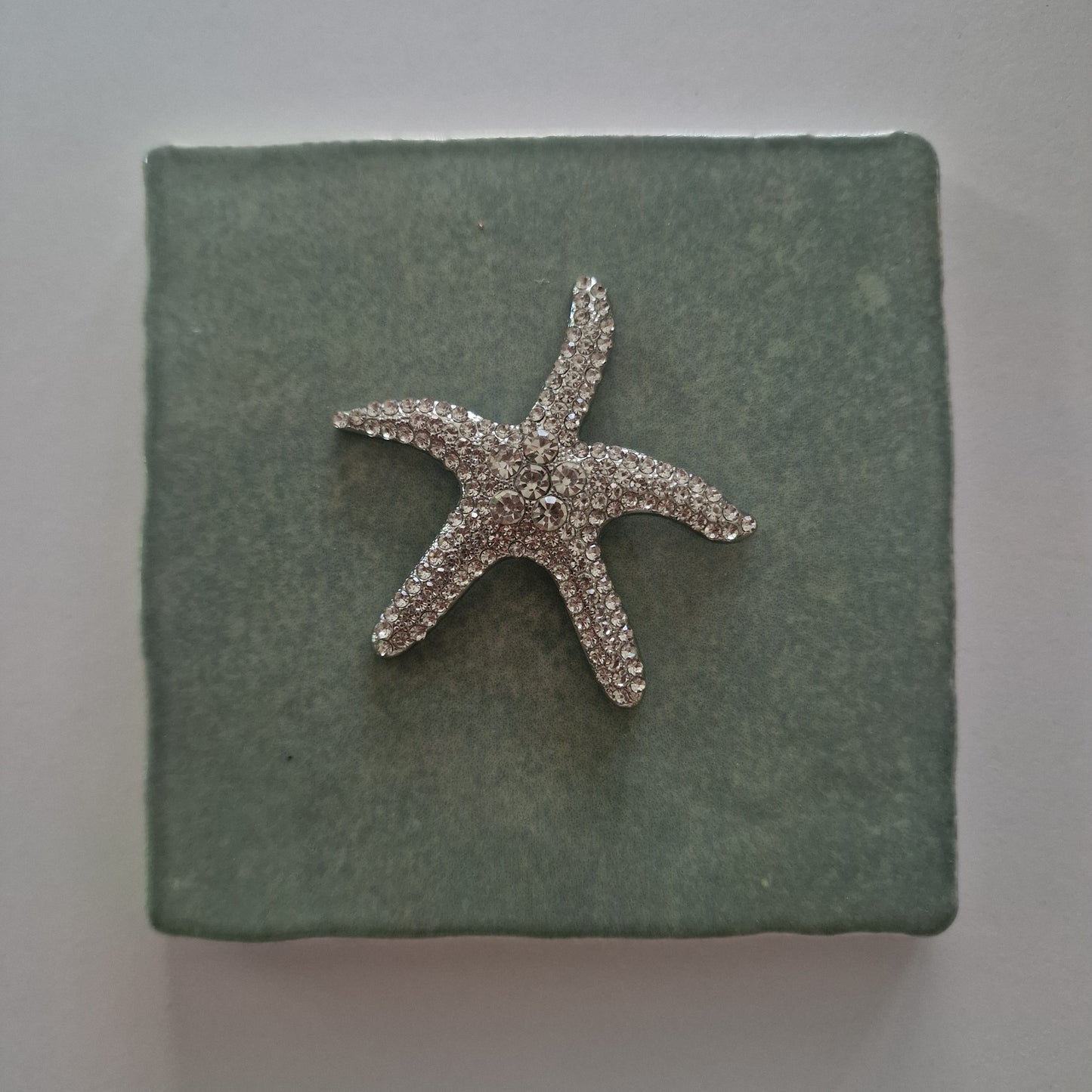 Tegeltje - 3D - Zeester Zilver - Tegeltje naar keuze