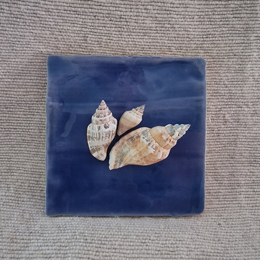 Tegeltje - 3D - Schelpen - Blauw