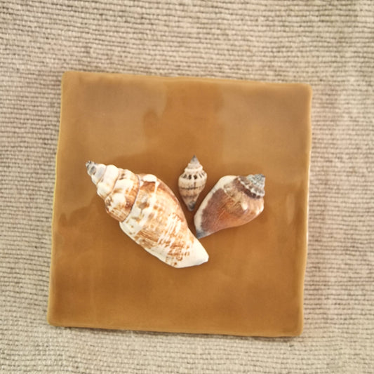 Tegeltje - 3D - Schelpen - Oker