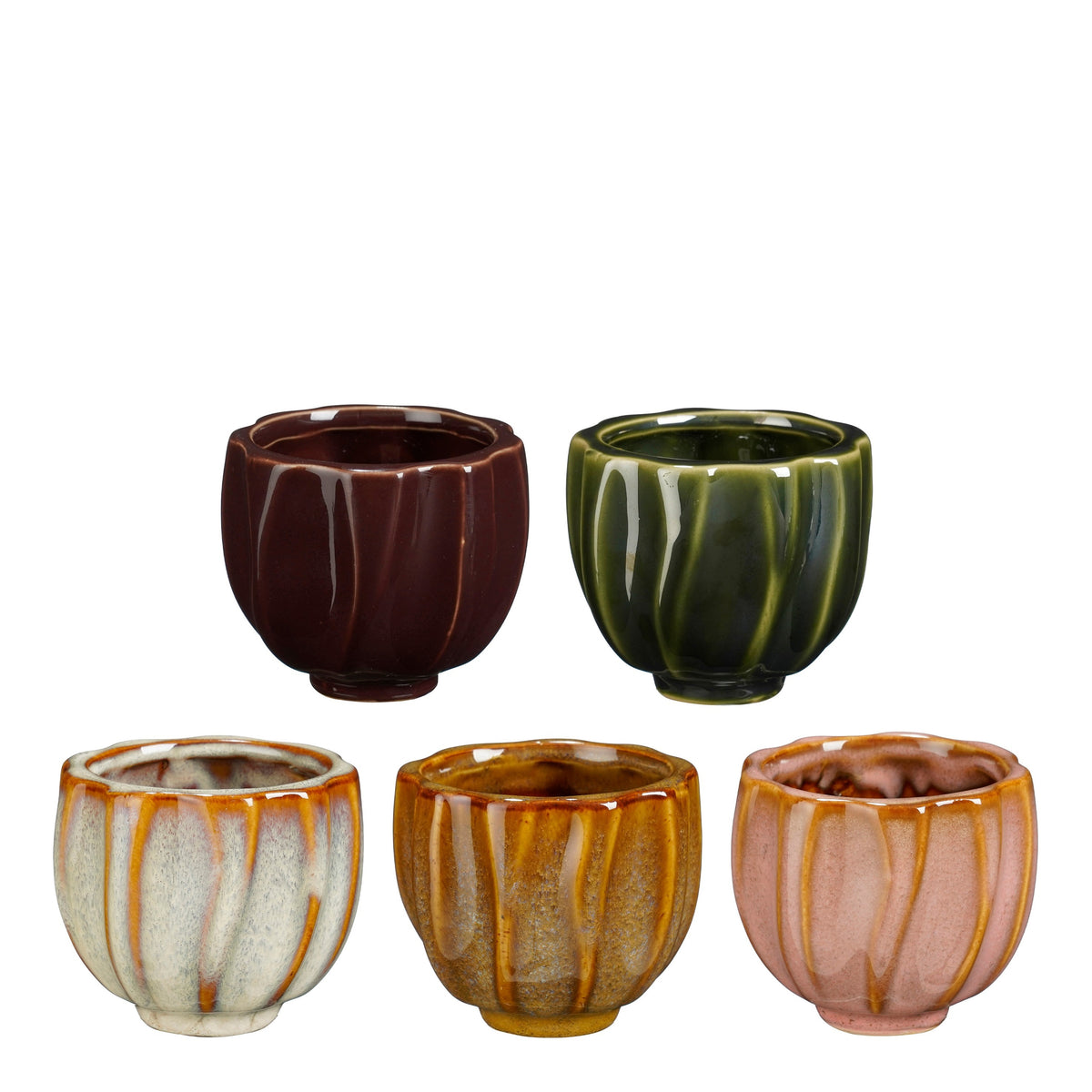 Pot Amy 5 assorti